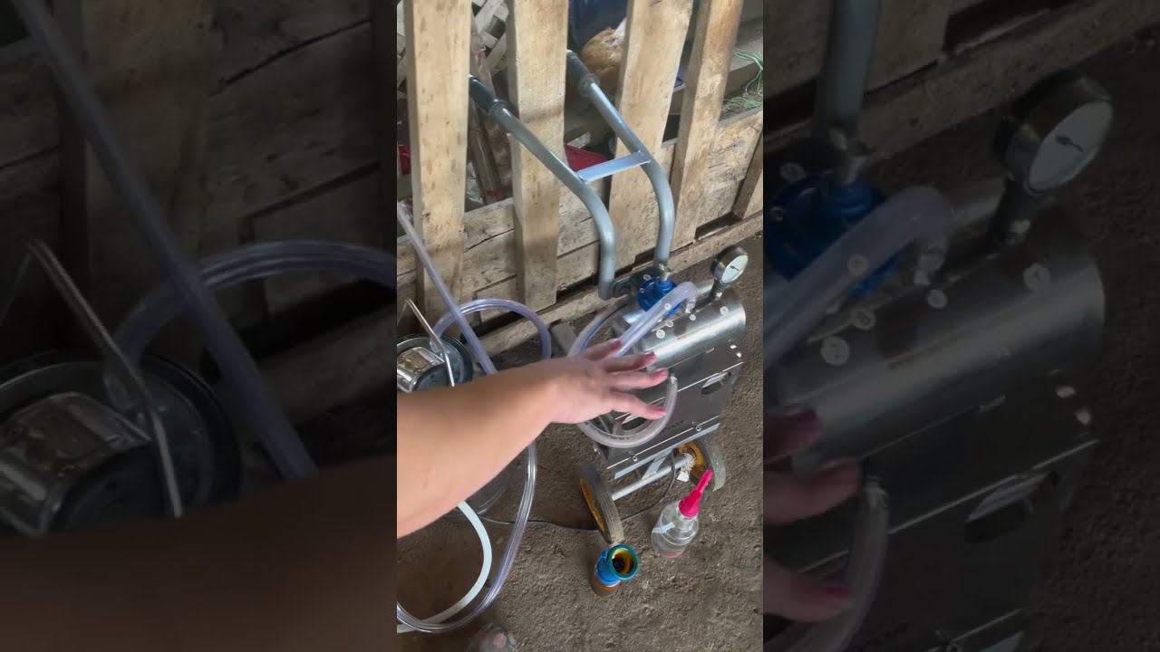 Vevor milk machine- How To Use