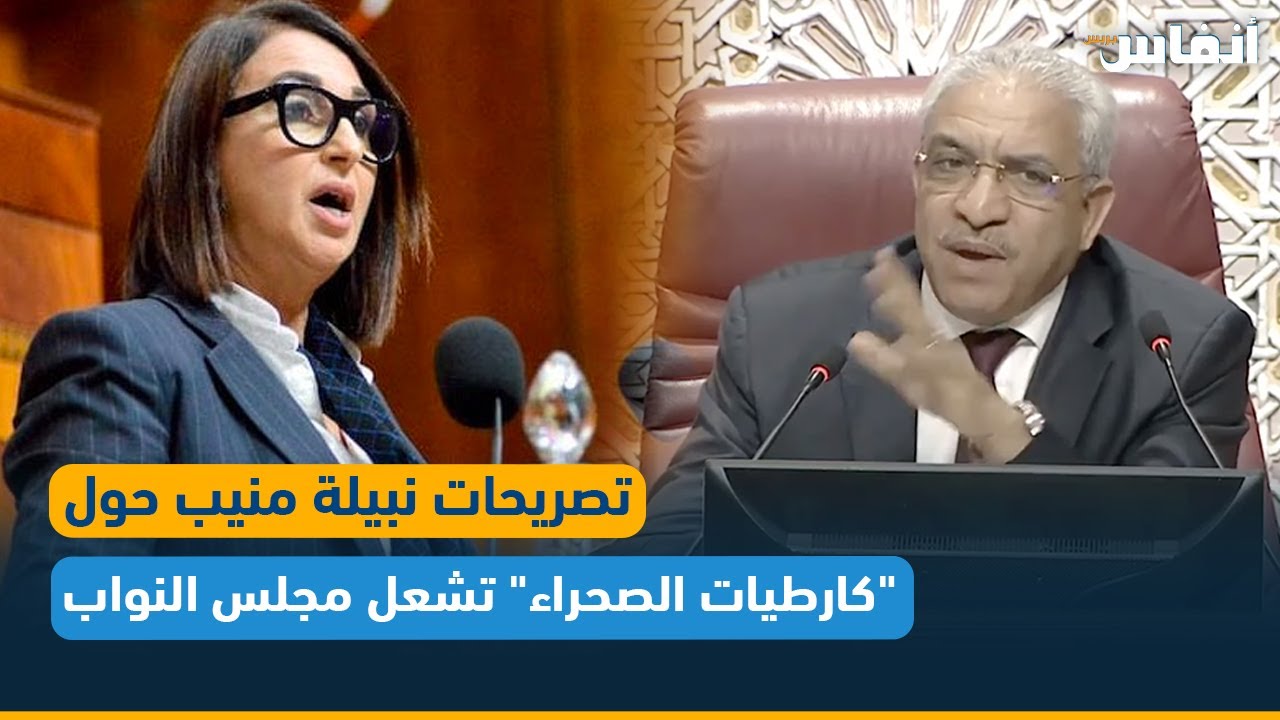 تصريحات نبيلة منيب حول 