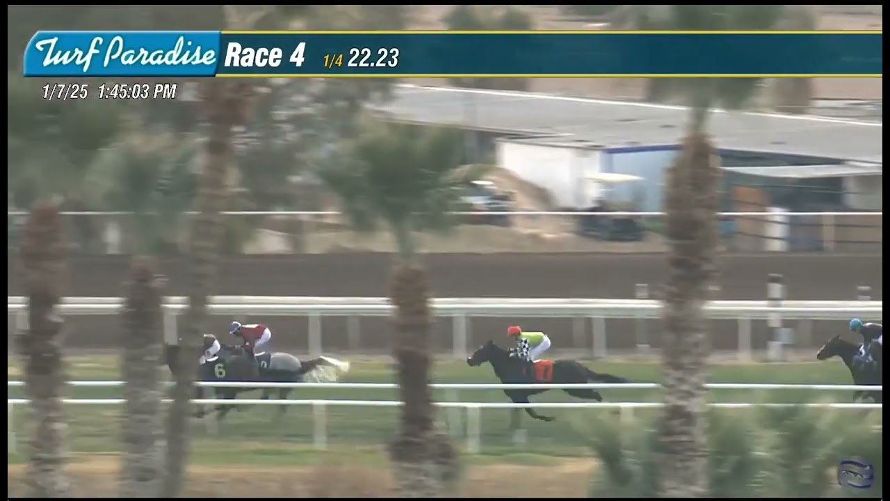 Tuesday, January 7th, Bangie Go, Kiaman McGregor, Turf Paradise