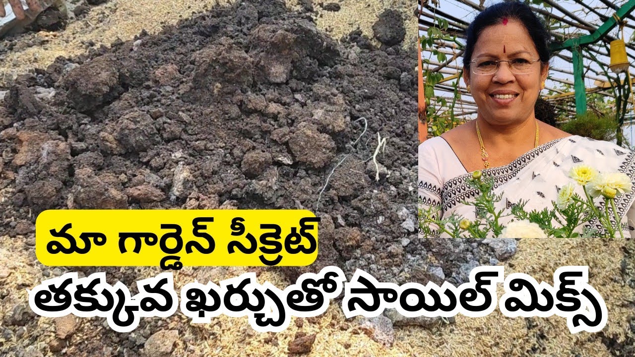 ఎక్కువ ఖర్చు లేని మంచి సాయిల్ మిక్స్ మా గార్డెన్ సీక్రెట్ #@AadiLakshmiTerraceGarden #soil mixing 