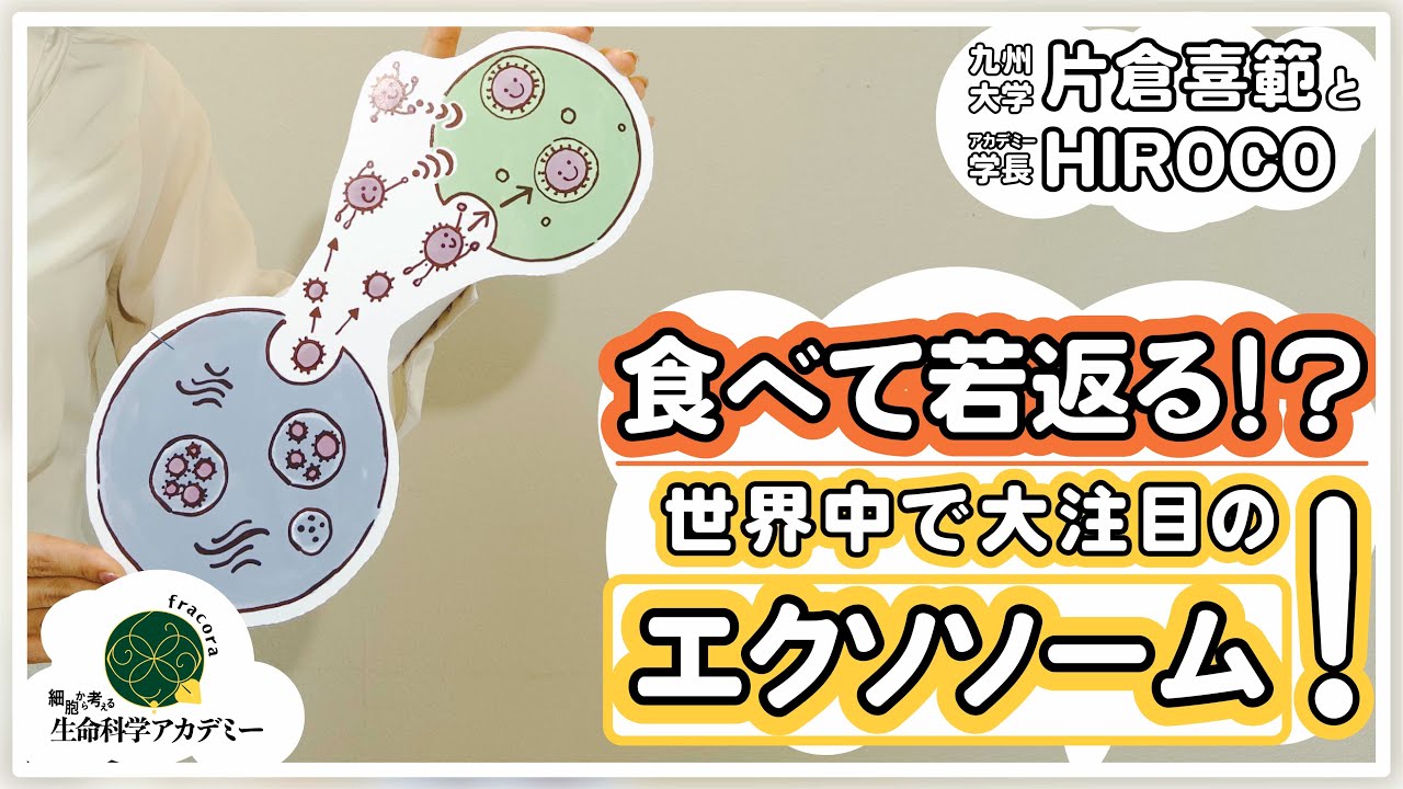 食品によって「エクソソーム」の分泌を促すことで細胞を活性化する｜#01 九州大学 片倉喜範先生