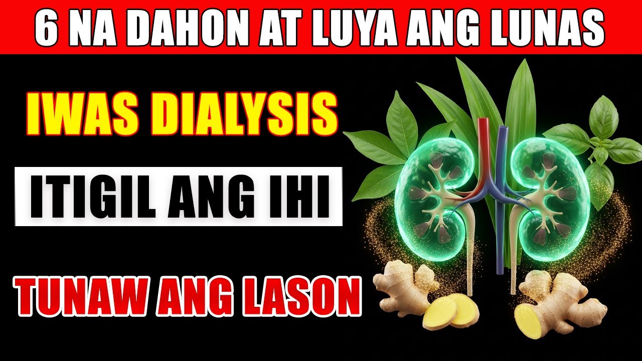 6 na Dahon na Pampatibay ng Bato: Iwas Puyat at Pagod Para sa Edad 55 Pataas