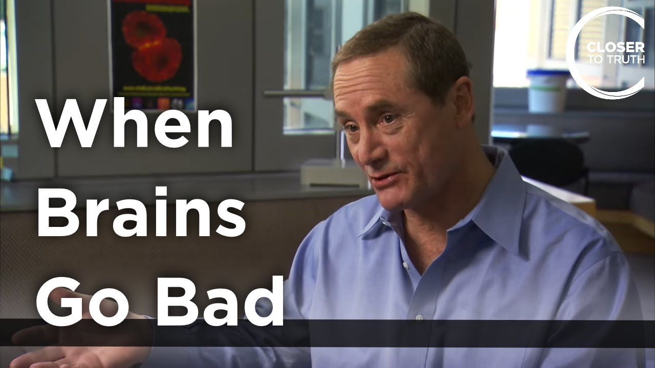 Robert Bilder - When Brains Go Bad