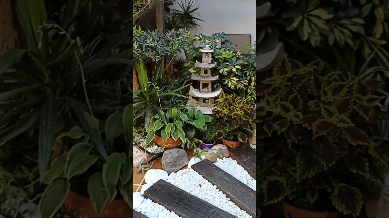 Patio still Japanese.Патио в японському стилі( Spain)27 marzo 2021