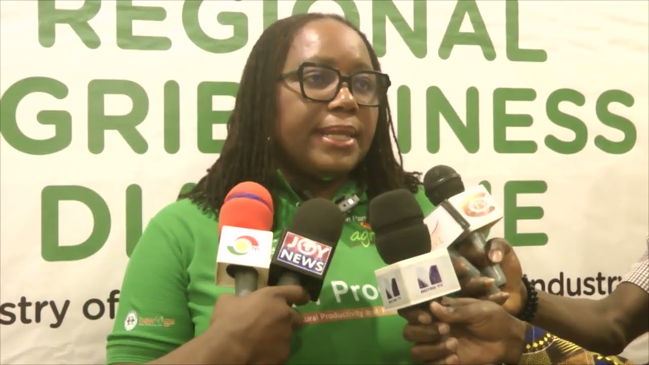 Boosting Agribusiness in Ghana: Gov't to offer tax waiver on agro-processing machinery
