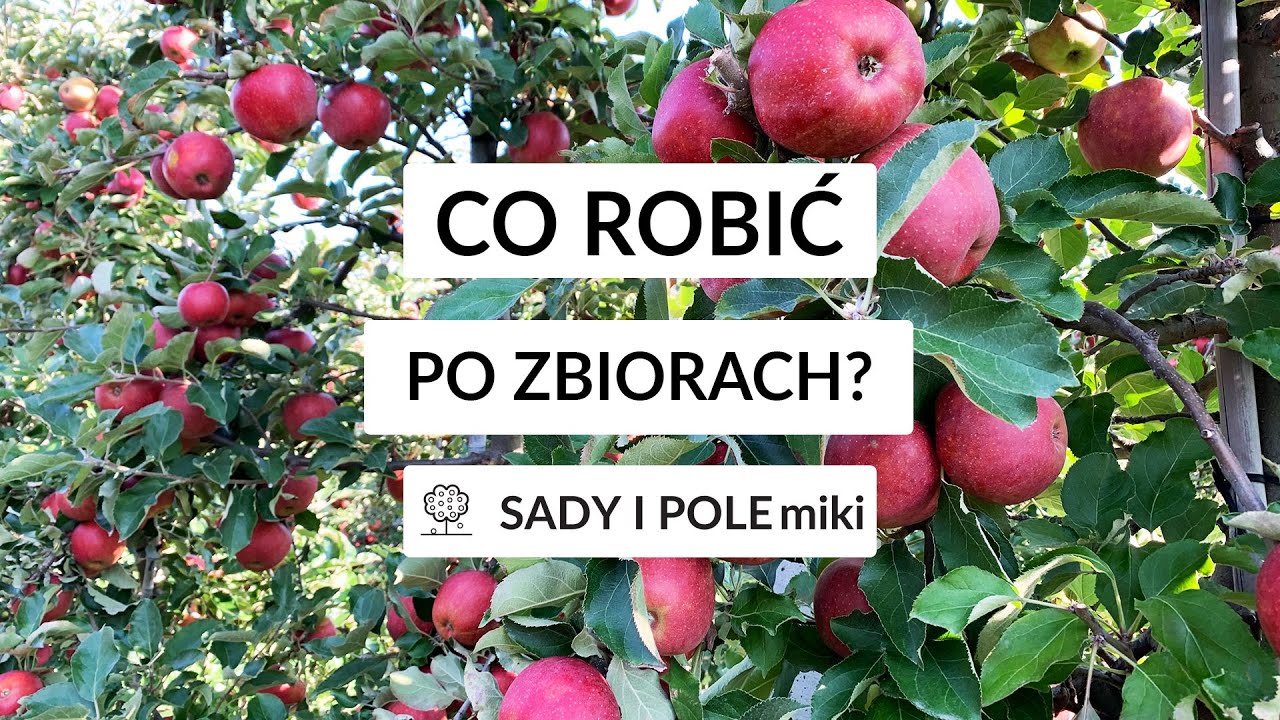 SADY I POLEmiki odc. 57 - Zabiegi w sadach po zbiorach