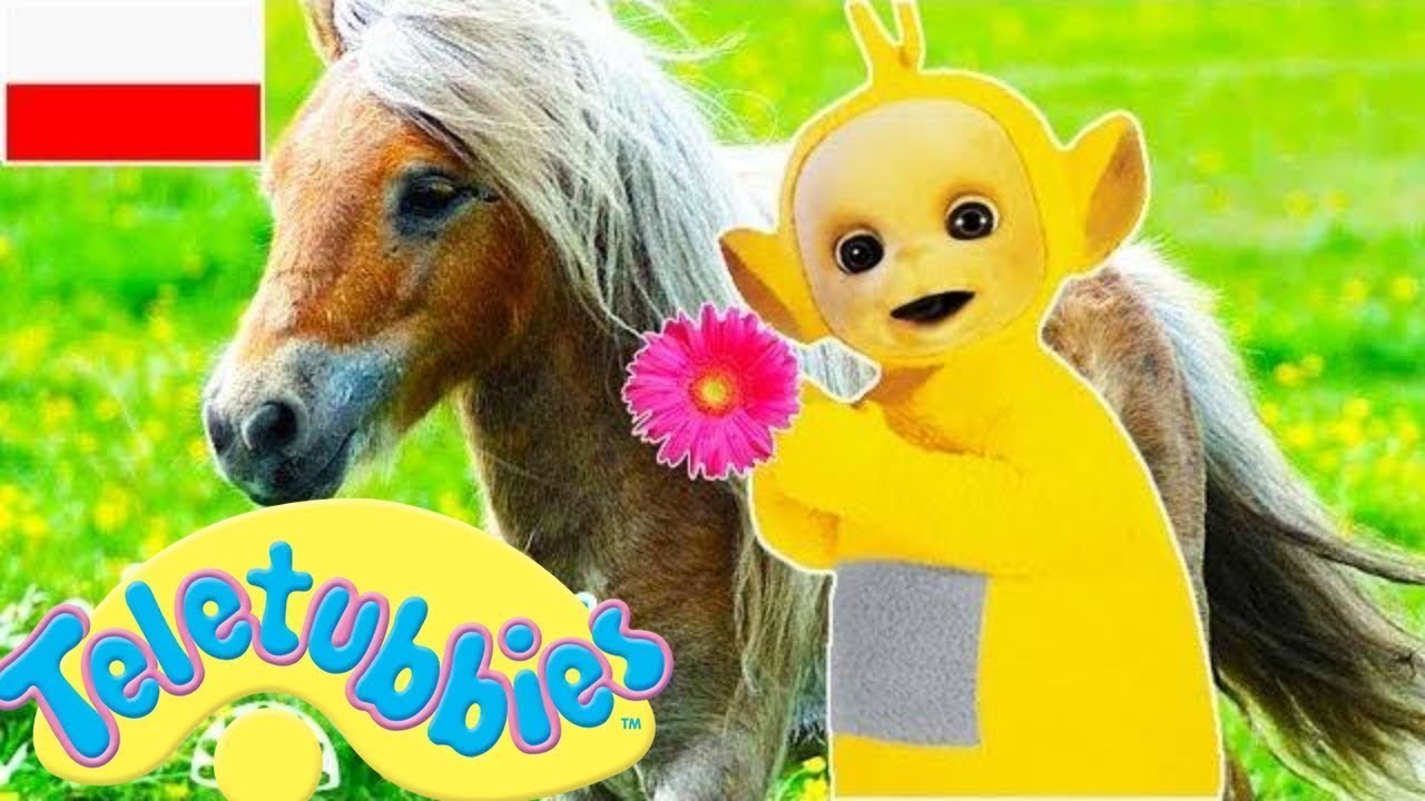 ☆ Teletubisie Po Polsku ☆ 73 DOBRA JAKOŚĆ (Pełny odcinek) ☆ WildBrain