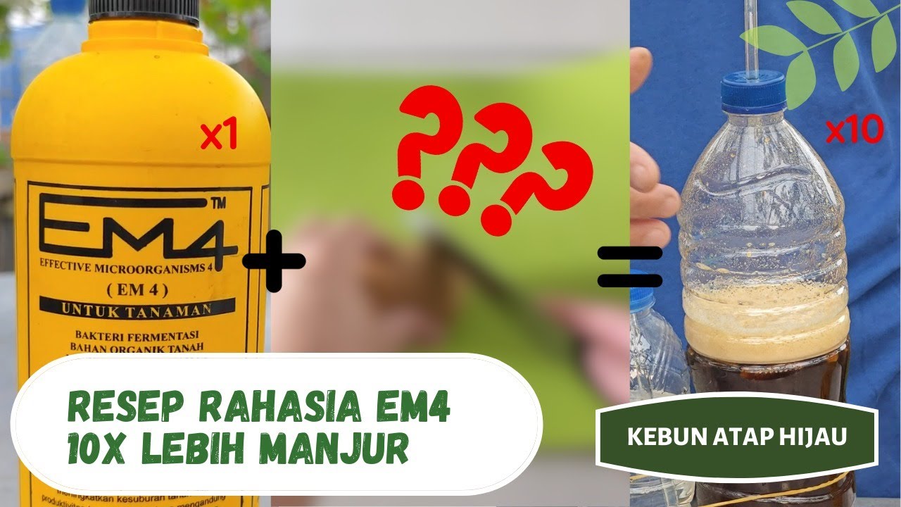 Resep rahasia menjadikan EM4 lebih kuat dan irit