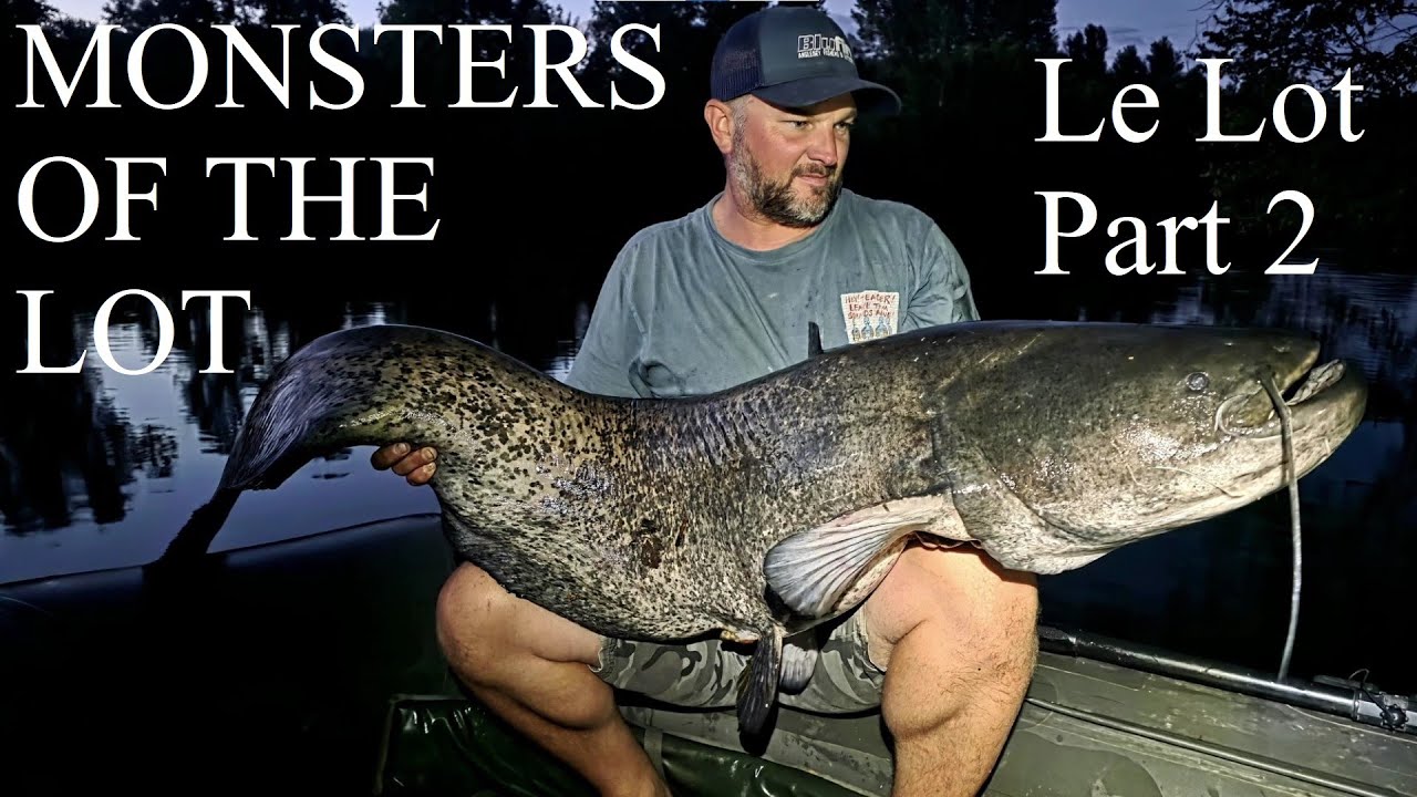 CATFISH CARNAGE!! River Lot Monsters, My Biggest Freshwater Fish Ever!