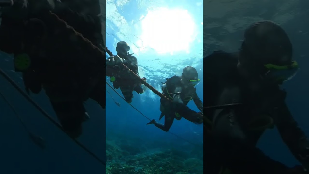 Just dive and drift with friends around Nusa Penida