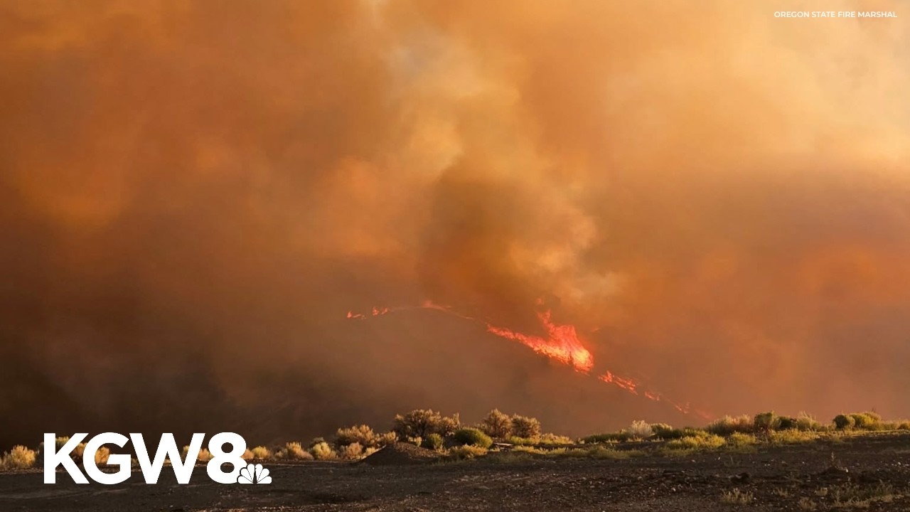 Oregon wildfires burn over 1.3M acres