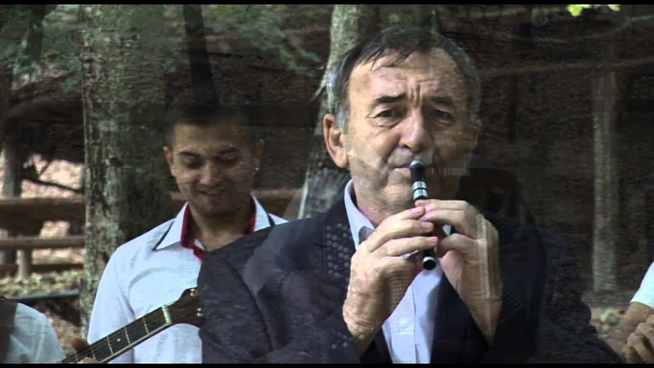 Siniša Ristić - Radišino kolo