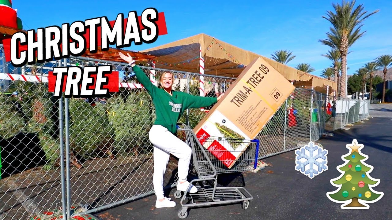 Getting Our Christmas Tree! Vlogmas Day 1