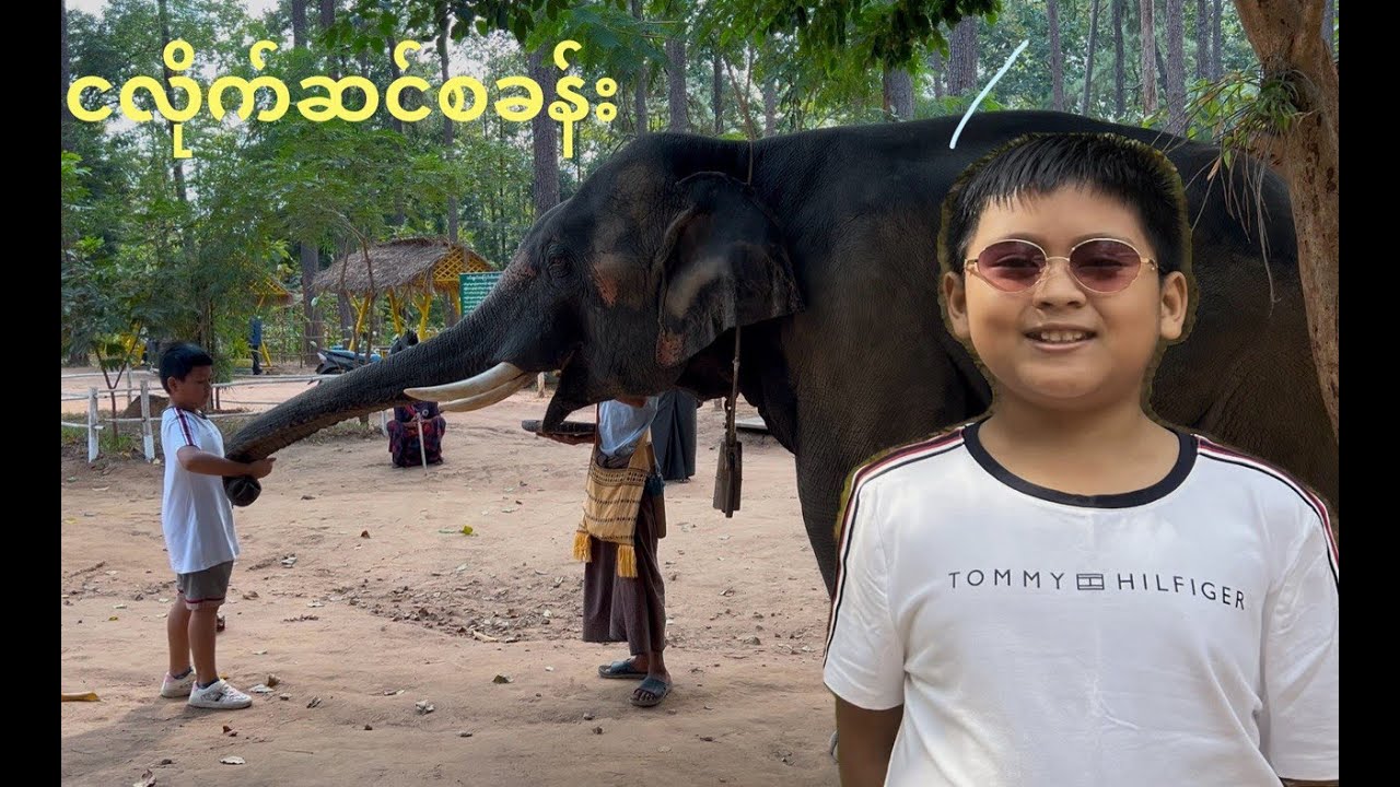 ငလိုက်ဆင်စခန်း (Nga Laik Elephant Conservation Camp)
