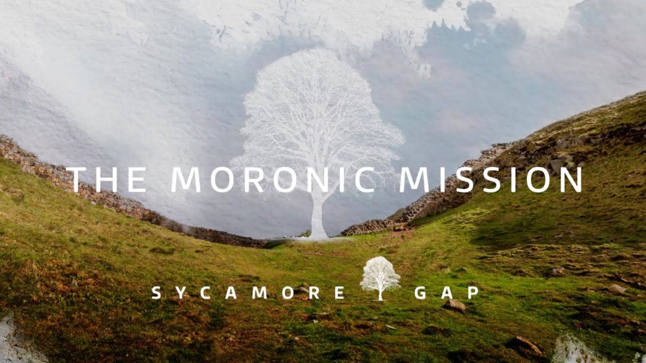 Sycamore Gap: The Moronic Mission | ITV News