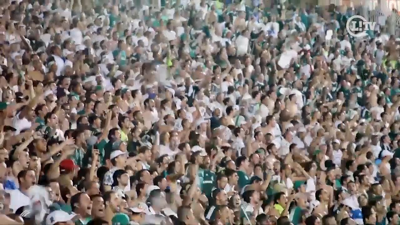 Parabéns, Palmeiras! Mauro Beting faz homenagem ao Verdão
