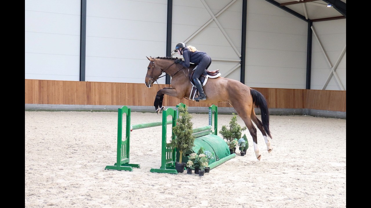 Jappeloup schooling