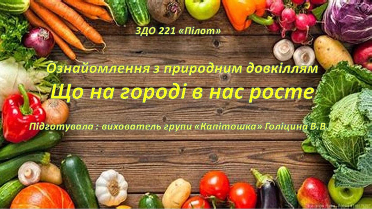 Що на городі в нас росте?   Ознайомлення  з природним  довкілля