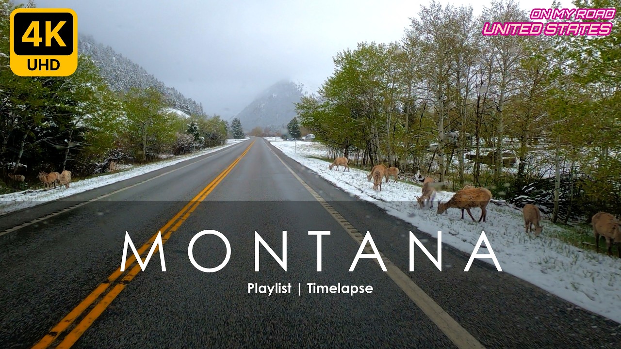 Timelapse 🎷St Regis, MT  - West Entrance of Yellowstone | US Road Trip