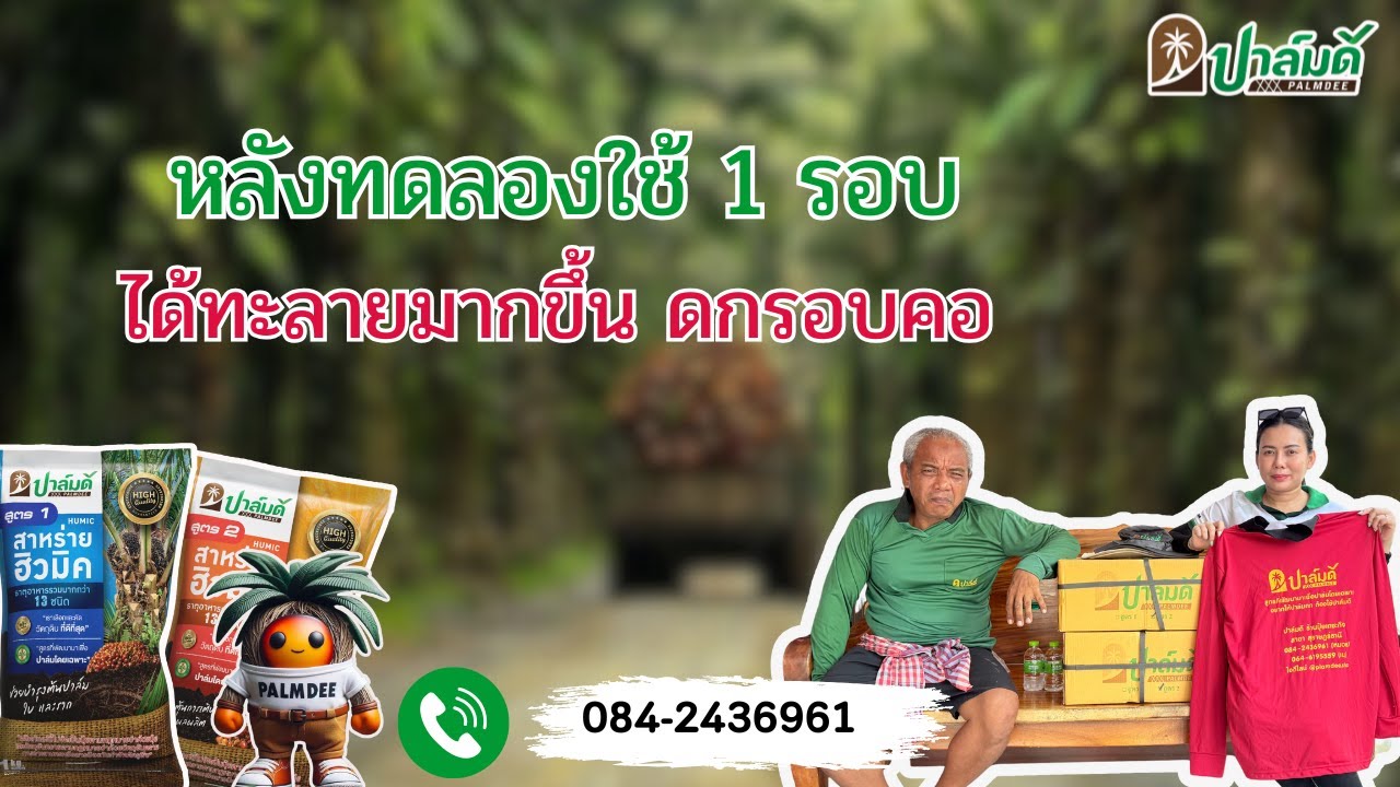 🌴ก่อนใช้มีแต่ดอกตัวผู้ #เกษตรกร #ปุ๋ยปาล์ม #สวนปาล์ม #ปาล์มดี