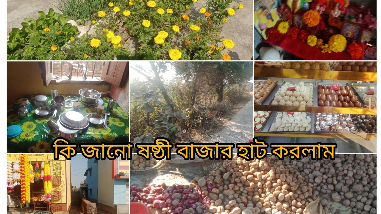 Bangla vlog#সিজানো ষষ্ঠীর বাজার হাট নিয়ে এলাম