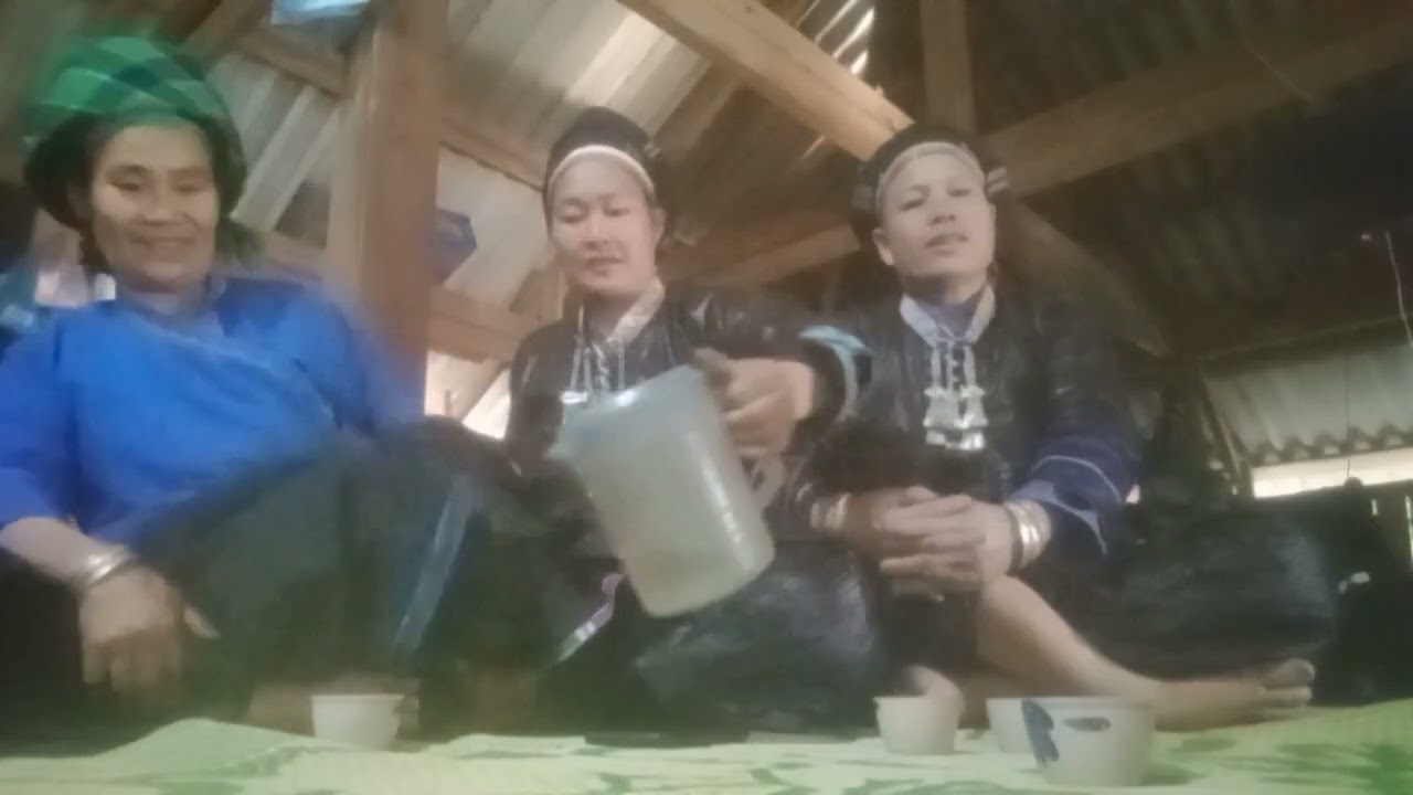 26 tháng 2, 2026