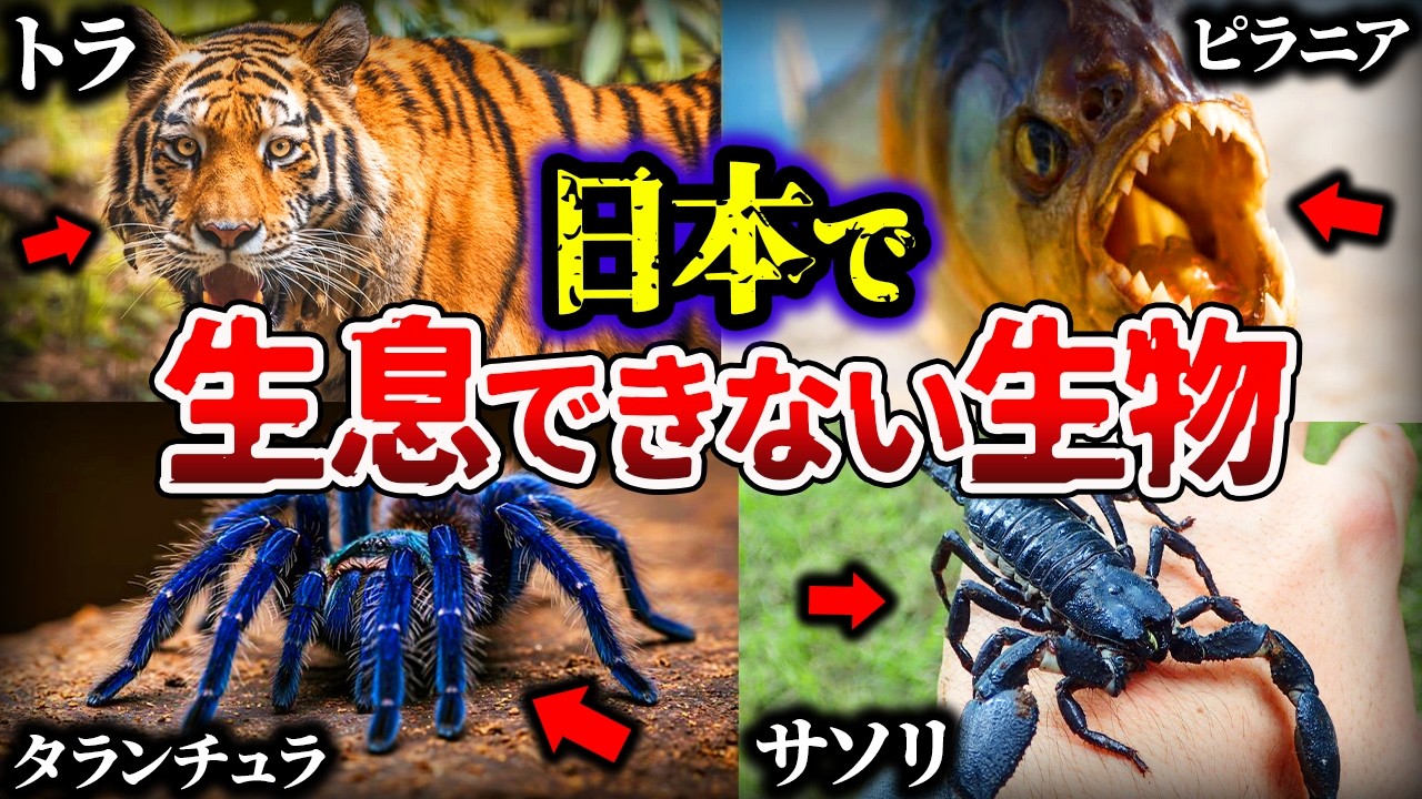 【ゆっくり解説】あの生物たちが日本に存在しないヤバい理由
