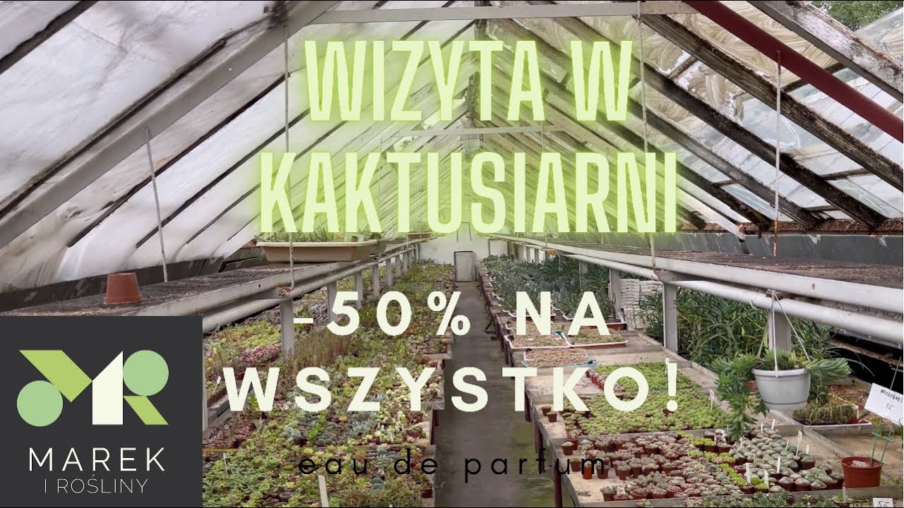 Wizyta w kaktusiarni! -50% na wszystko!