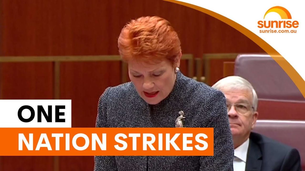 Pauline Hanson targets Littleproud's seat in Maranoa | Sunrise