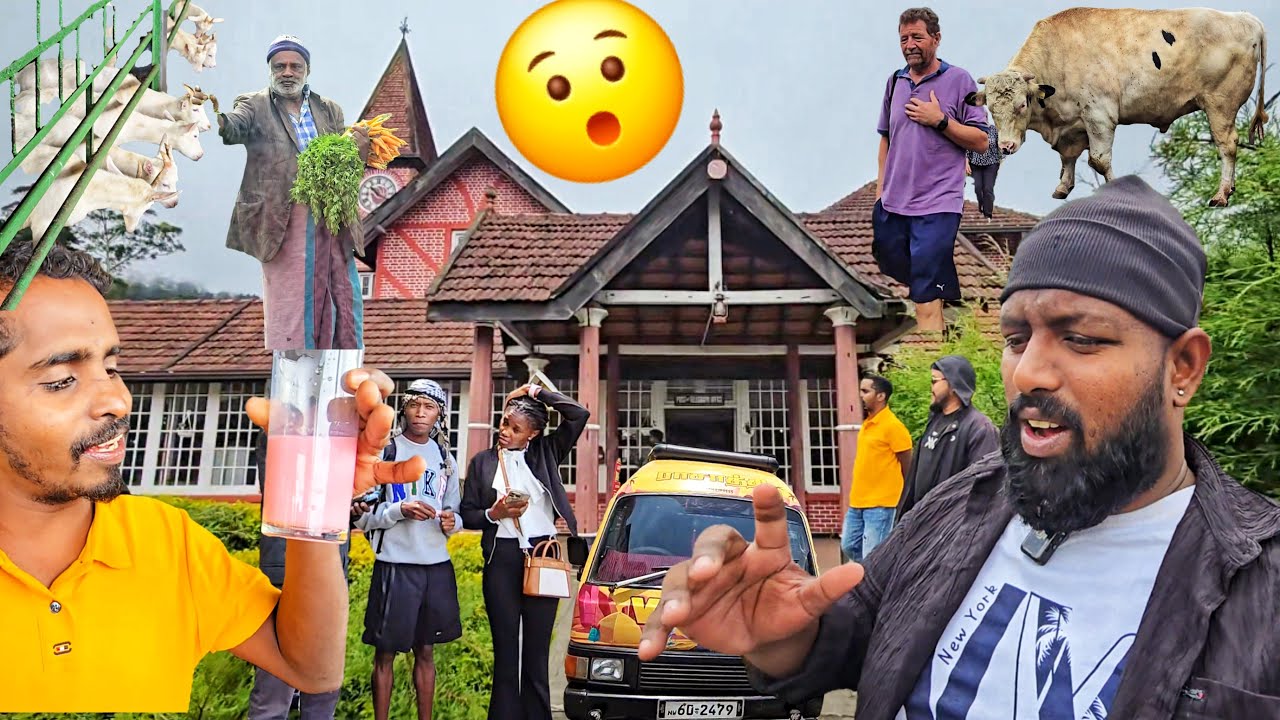 எல்லாம் மாறிப்போச்சு நுவரெலியாவில்!😲 Van Life Tamil Vlogs | Alasteen Rock | Day 96