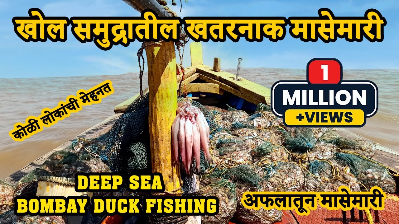 खोल समुद्रातील बोंबील, कोळंबी, मांदेली मासेमारी | समुद्रातील मासेमारीचा थरार  | वडराई