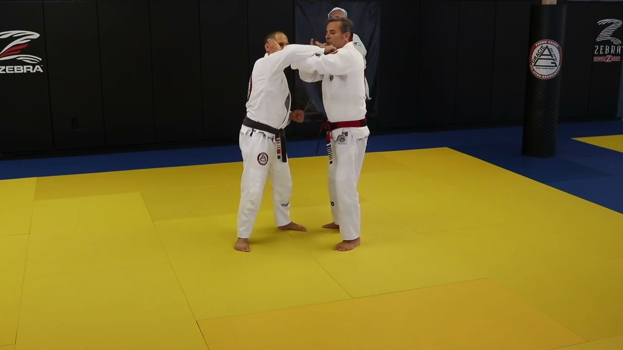BJJ Basics: Punch Defense Detail 2 주짓수 주린이 기본기술: 펀치 방어 디태일 2