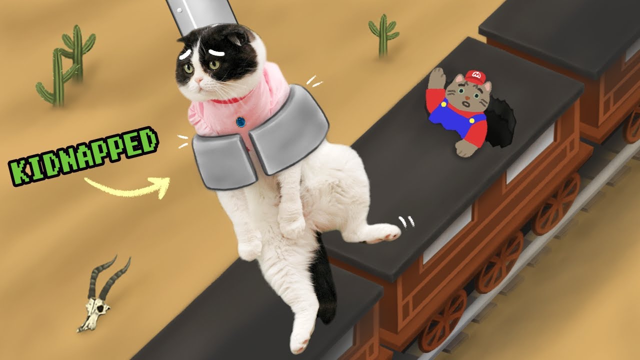 Super Mario Cat Bros ｜ Two mysterious train tickets