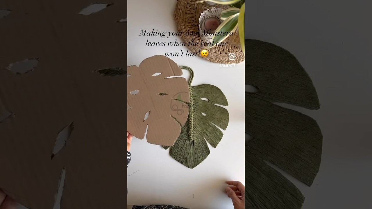 A lasting solution for your monstera&rsquo;s! 😄🫰🏻#monsteraleaf #diyhomedecor #easydecorideas