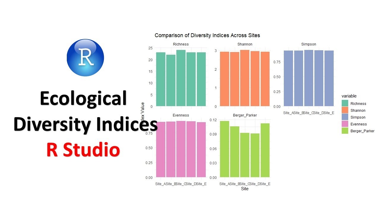Ecological Diversity Indices in R | Shannon, Simpson & More with Full R Code
