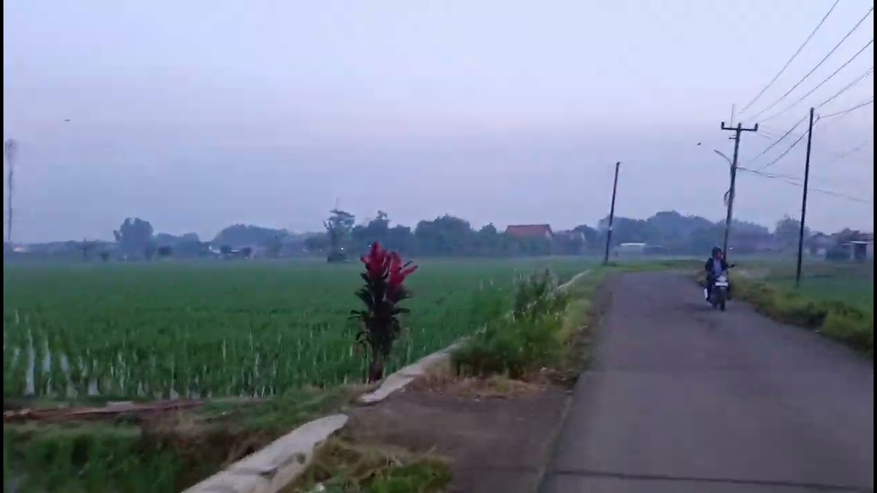 Suasana pagi🥰