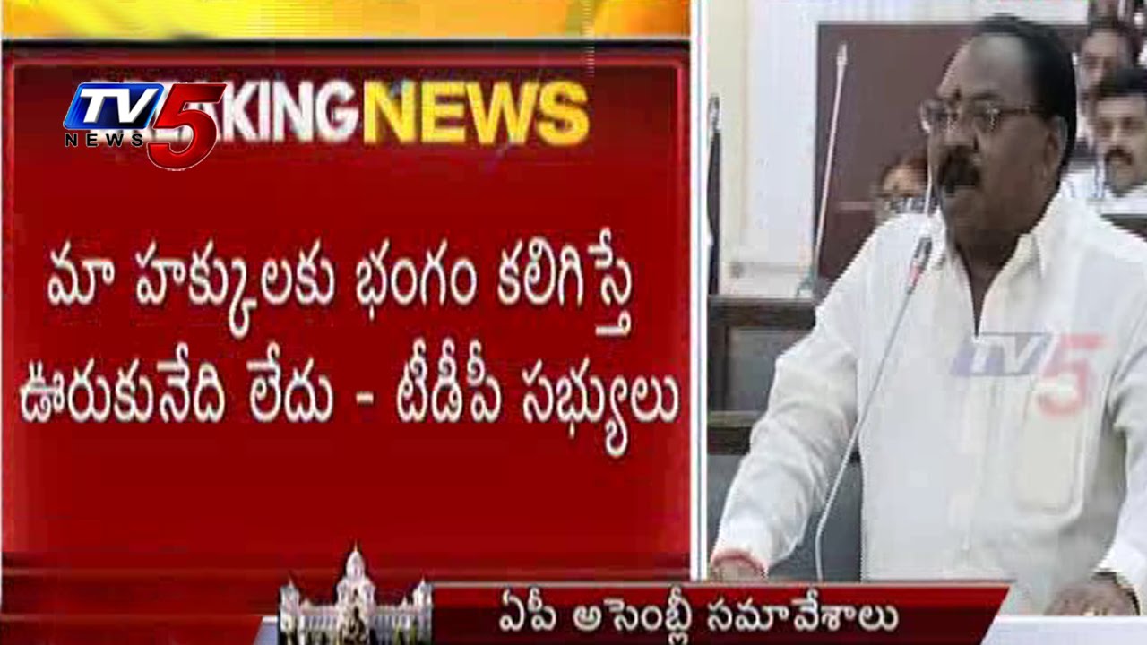 TDP Ministers warns YCP over Disturbing Their Rights | AP Assembly : TV5 News