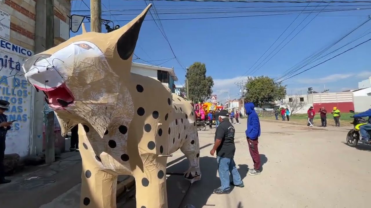 Desfilan toritos monumentales por las calles de Cholula