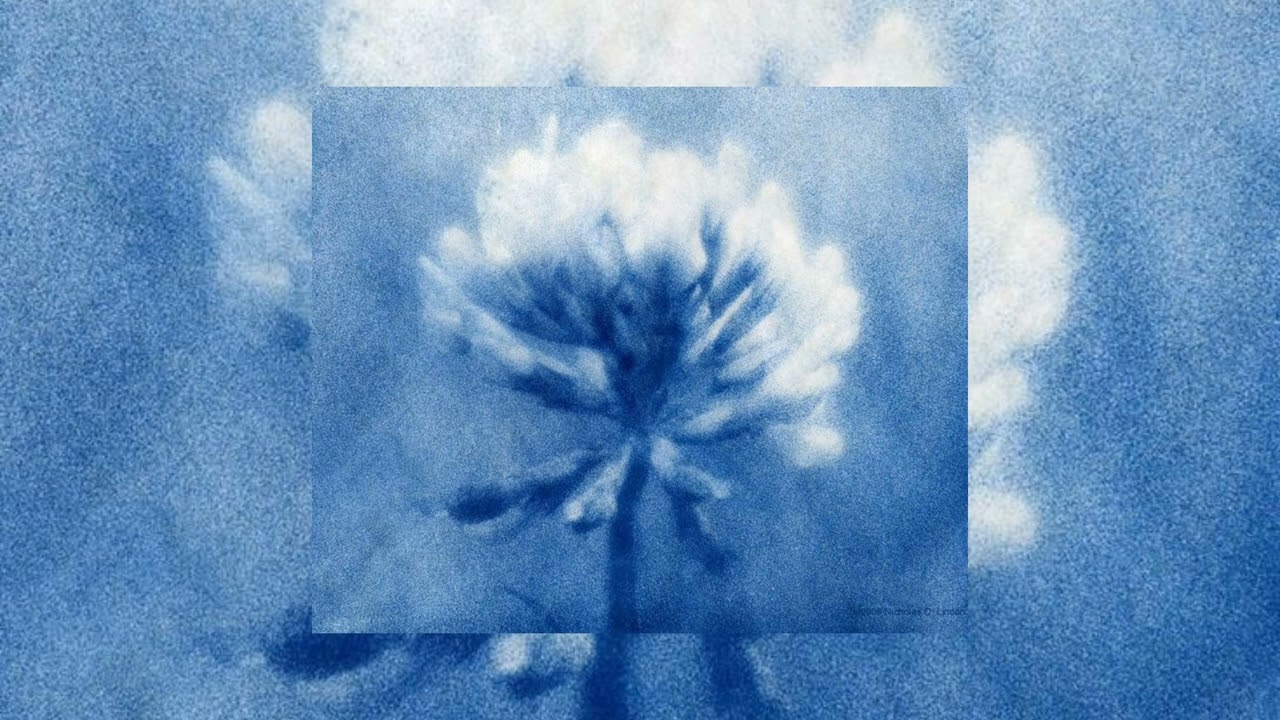 frank ocean - nature feels (Sped up)