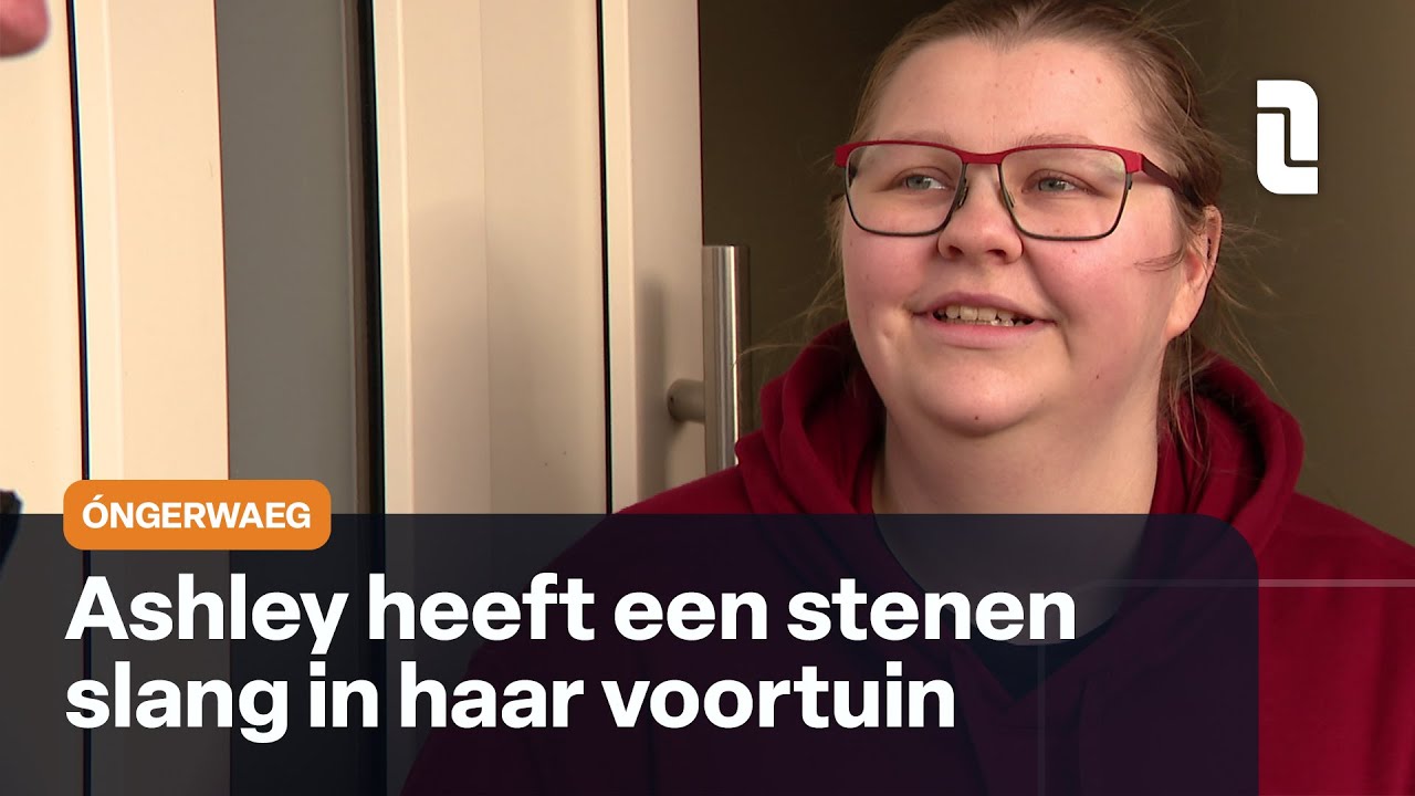 &Oacute;ngerwaeg 'op sjak' in Koningslust