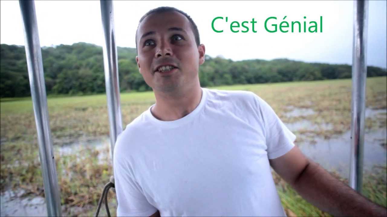 Le Morpho - Plongez dans l'Immensité des Marais de Kaw - Guyane Août 2011
