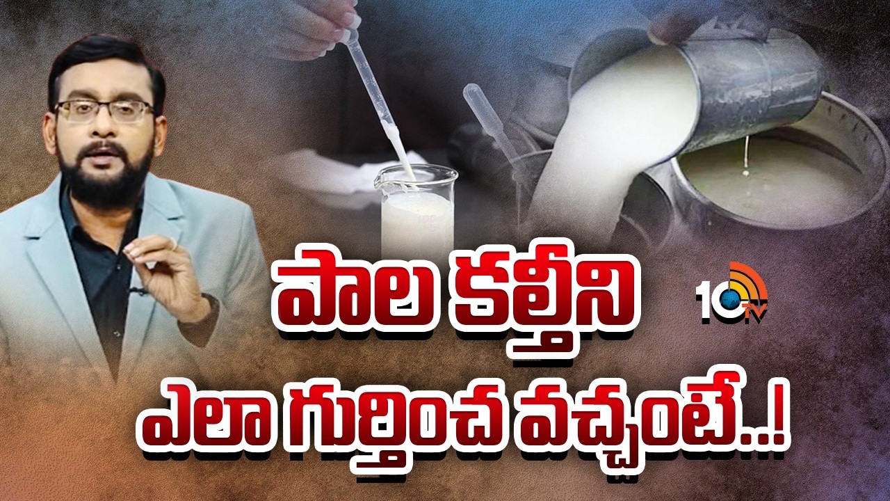 పాల కల్తీని ఎలా గుర్తించ వచ్చంటే..! | Special News On Adulterated Milks | 10TV News