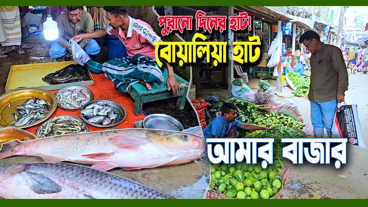 গ্রামের আসল হাটবাজার! সিরাজগঞ্জ উল্লাপাড়ার ঐতিহ্যবাহী বোয়ালিয়া হাট থেকে আমার বাজার