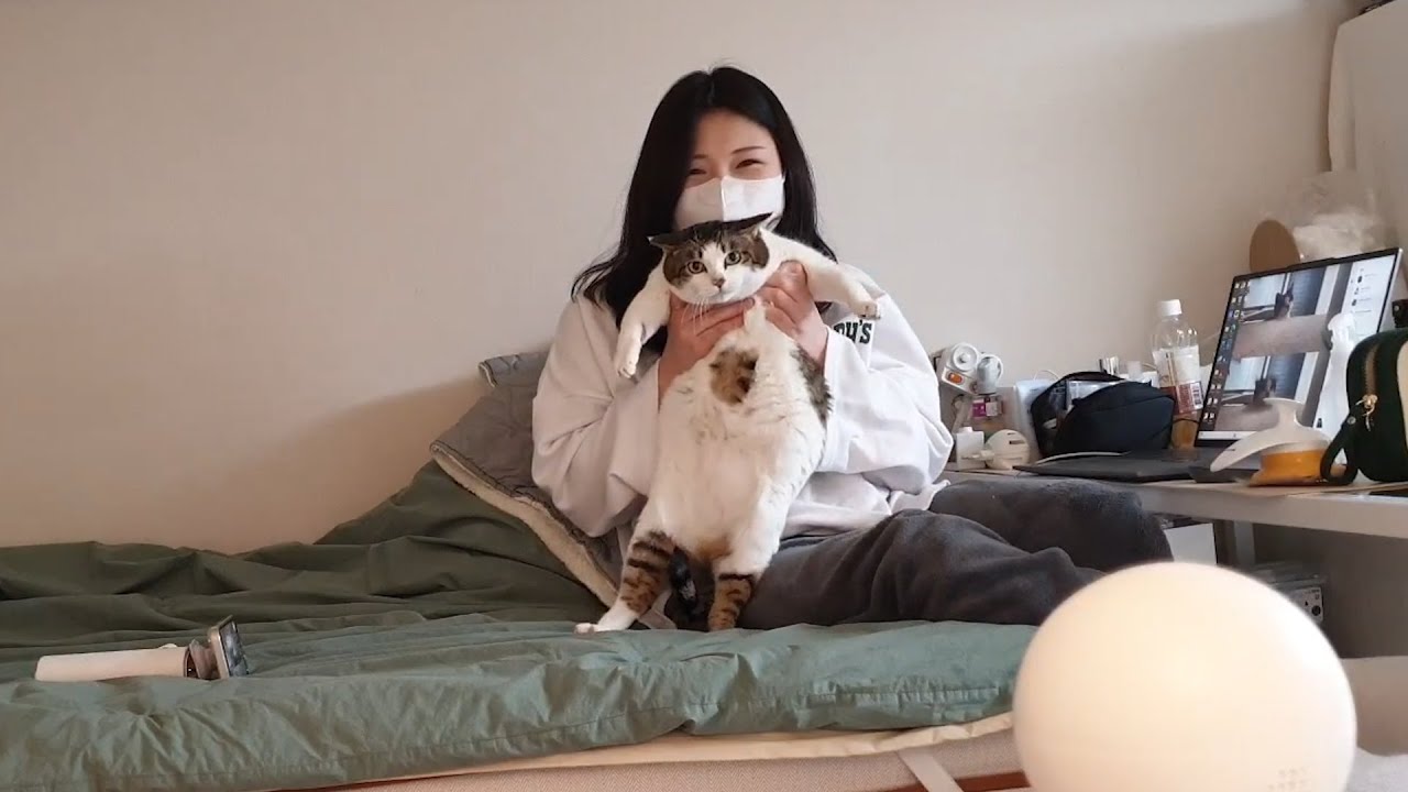 언니만 기다리던 고양이 무시하고 일만 하면 생기는 일