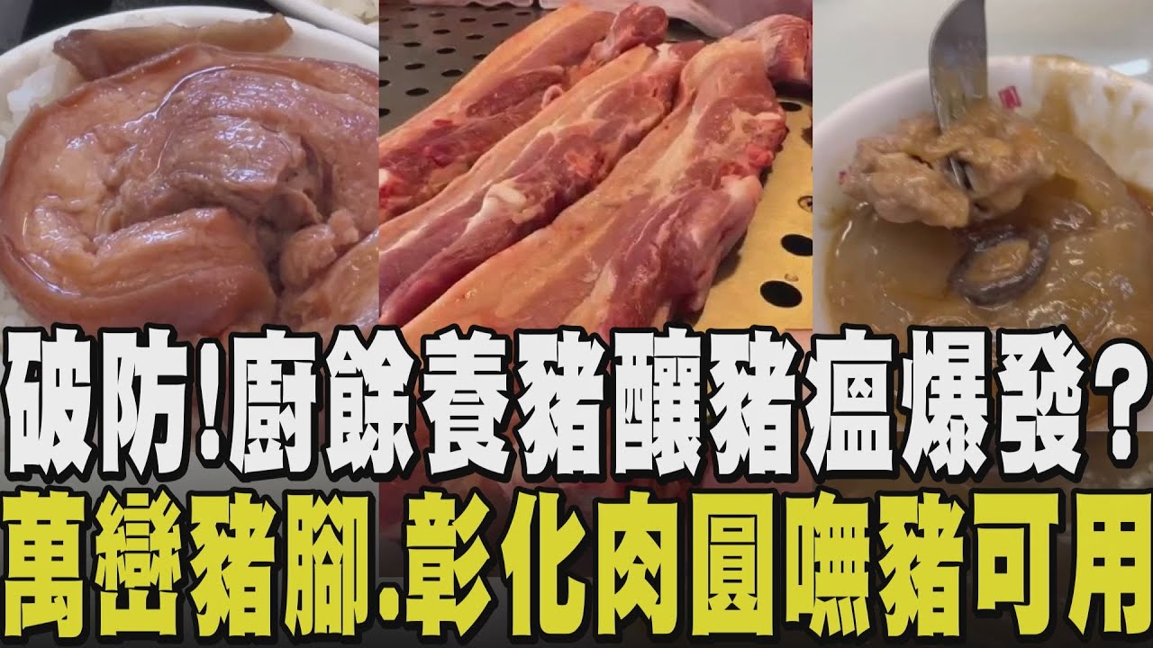 20年來首次破防全台皆兵! 爆非洲豬瘟疫情 農業部急撲殺豬隻 燒毀! 台中36家廚餘養豬 防疫情擴散農業部禁用廚餘 並回收燃燒｜【話題懶人包】｜TVBS新聞 @TVBSNEWS01