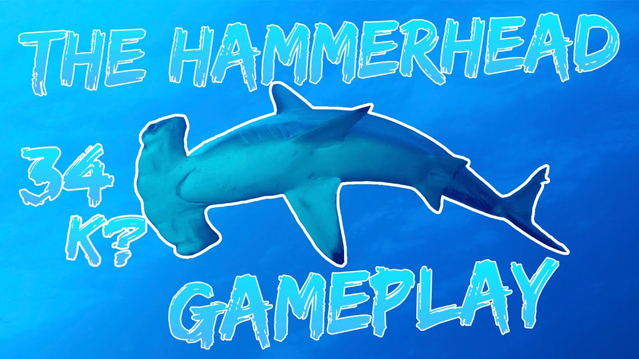 Depth - The Hammerhead Gameplay (34 Kills!?)