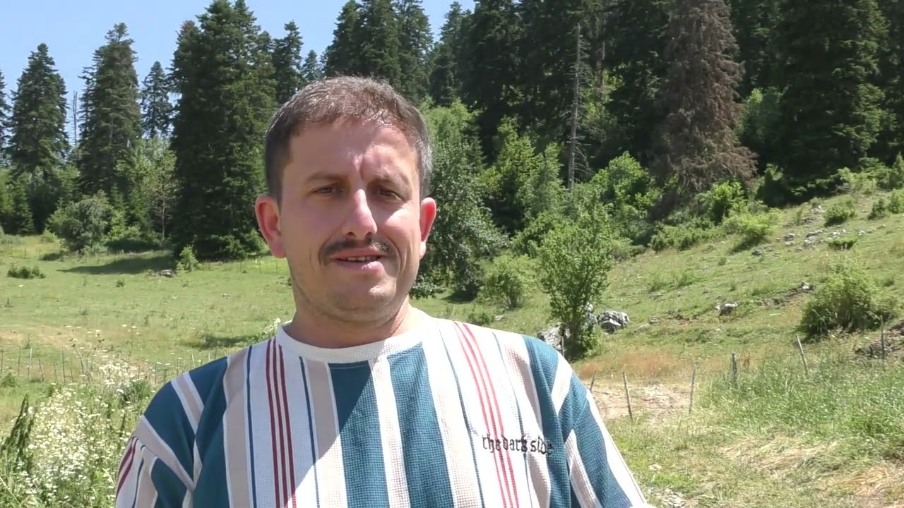 Sjenica: Vodimo vas u UKLETU ŠUMU