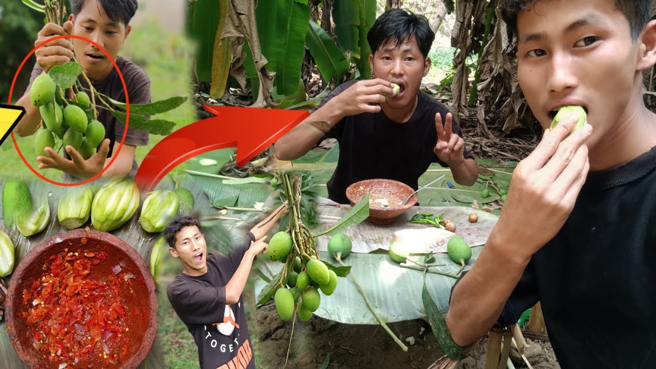Survival in The Forest Eating Mango With Salt Peppers Delicious