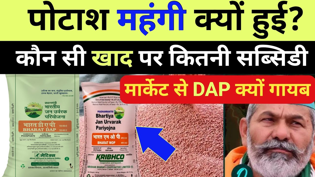 पोटाश महंगी क्यों हुई, कौन सी खाद पर कितनी सब्सिडी, DAP क्यों नहीं मिल रही है / Fertilizer subsidy
