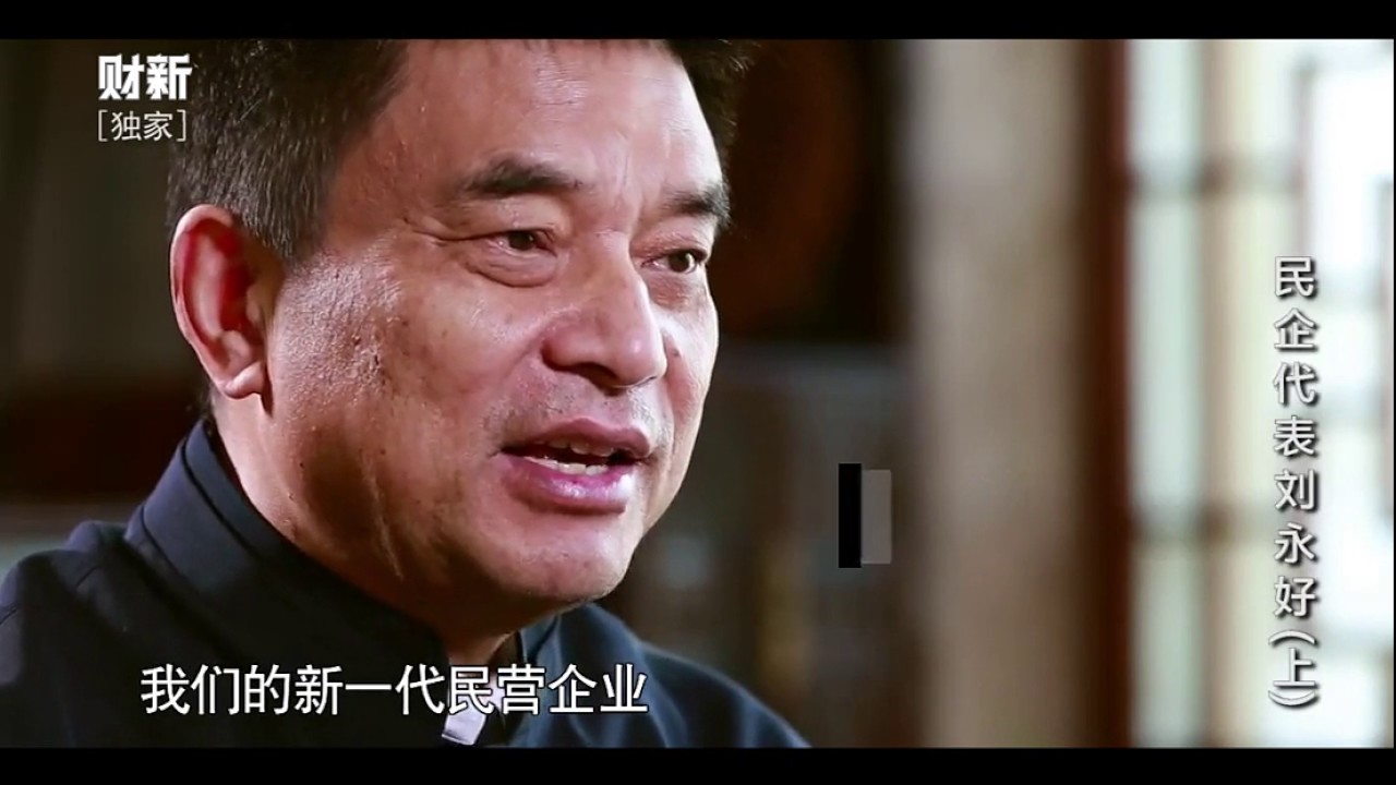 【舒立时间】民企代表刘永好上